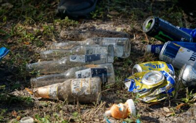 How to Report Littering In Austin